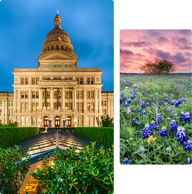 Capitol building and field of bluebonnets.